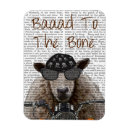 Search for bones magnets Steampunk