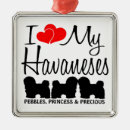 Search for havanese ornaments Heart