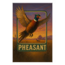 Search for pheasant posters Wildlife