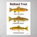 Recherche de trout posters Glace