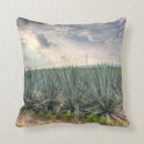 Recherche de ingrédient coussins Plante