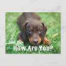 Search for how to postcards Friends