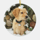 Search for golden retriever ornaments Labrador