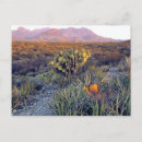 Recherche de pliage cartes postales Parc national