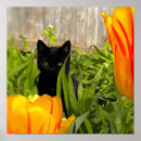 Search for black cat garden art Kitten