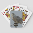 Recherche de rapace jeux de cartes Photographie de la nature