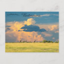 Search for botswana postcards Giraffes