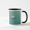 Search for catamaran mugs Blue