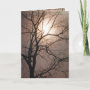 Search for moonlight cards Full moon
