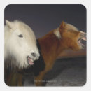 Search for horse picture stickers Nature
