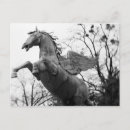 Search for wings postcards Black and white