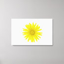 Search for attach posters Flower