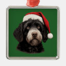 Search for portuguese water dog christmas Animal