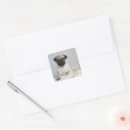 Search for pug birthday stickers Animal