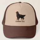 Search for hunting dog hats Pet