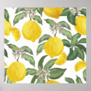 Search for vintage lemon posters Summer