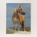 Recherche de haflinger puzzles Plage