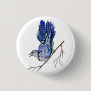 Search for blue jay buttons Watercolor