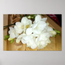 Search for freesias posters Floral