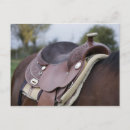 Recherche de équin cartes postales Brun