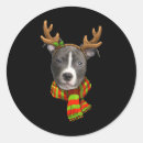 Search for pitbull lover stickers Merry christmas