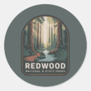 Search for redwood trees stickers Redwood national park