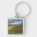 Search for vineyards keychains Janis miglavs