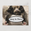 Recherche de hang in there posters Accrochez vous là