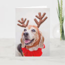 Search for reindeer head christmas cards One animal