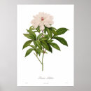 Recherche de poitrine art Tableau