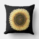 Recherche de points de confettis coussins Élégant