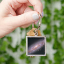 Search for galaxy keychains Galactic