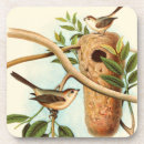 Search for bird coasters Nature