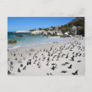 Search for south africa cards Bird