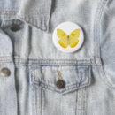 Search for common buttons Butterfly