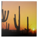 Search for arid tiles Sunset