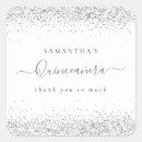 Search for silver quinceanera stickers Glam