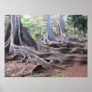 Search for ficus posters Nature