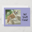 Search for english bulldog invitations Cute