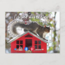Search for live postcards Funny