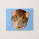 Recherche de rattie puzzles Rats