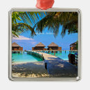 Search for maldives ornaments Tropical