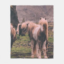 Recherche de chevaux photographie Faune