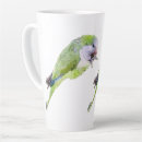 Recherche de perroquet vert tasses Aquarelle