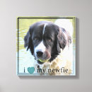 Search for newfoundland canvas prints Landseer