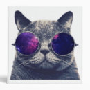 Search for signature binders Trendy