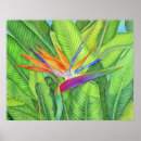 Search for bird of paradise art posters Hawaii