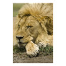 Search for game reserve art Animal