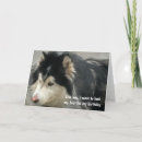 Search for humour birthday cards Pet
