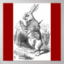 Search for blankets magnets Rabbit